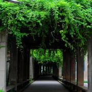 资阳师范学校